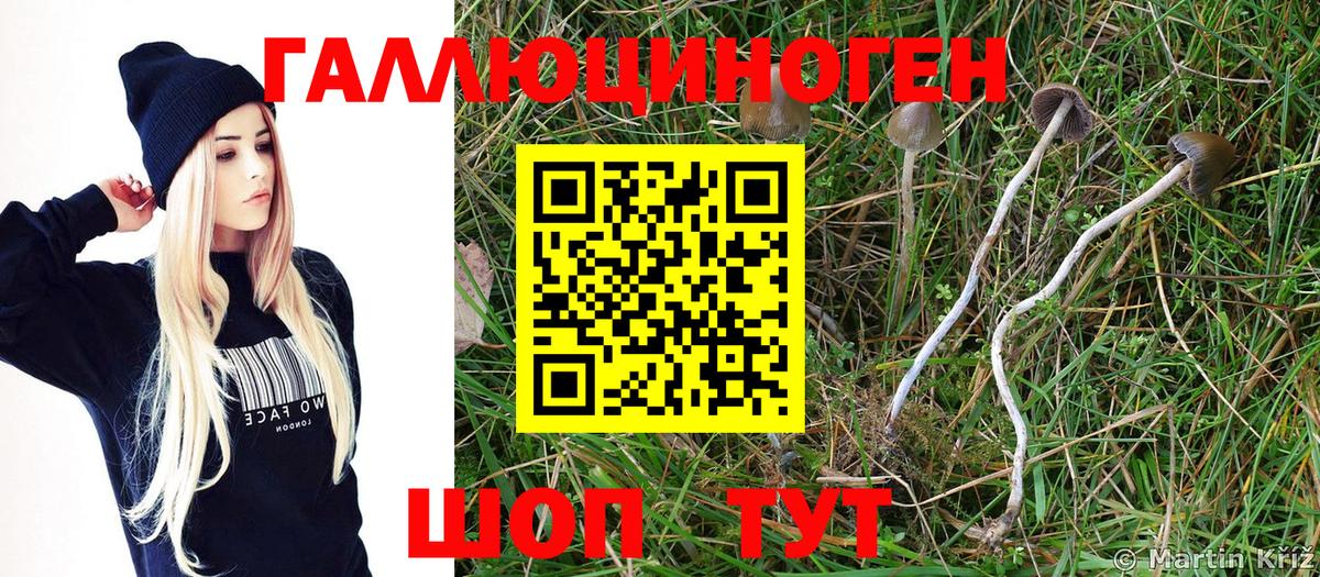 Псилоцибиновые грибы Magic Shrooms Тавда