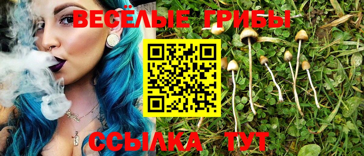 купить  сайты  Вход с VPN  Тавда  Галлюциногенные грибы MAGIC MUSHROOMS 